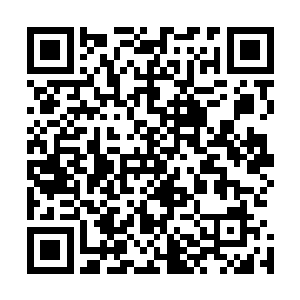 女娲手中还有那用冰霜巨人王尸骸所炼制出来的巨人傀儡了二维码生成