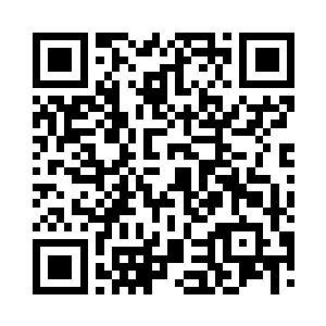 女娲族原本就是基因分析和融合的专家二维码生成