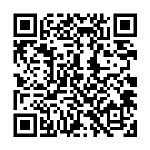 女子尸体都很漂亮身上披着黑色的纱衣被整齐地码放在柜子里二维码生成