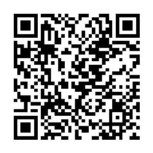 女孩为了追求浪漫而作出的种种不可理喻的行为来二维码生成