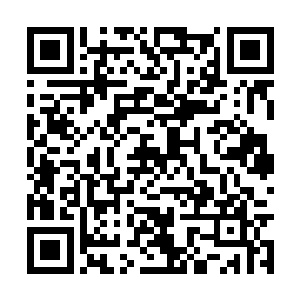 女孩翻出了镜子来对着镜子仔细的整理了一下头发二维码生成