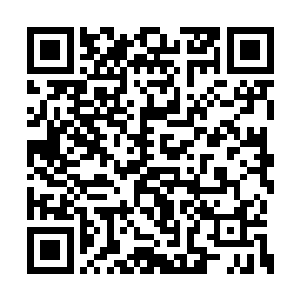 女工作人员将所需要准备的东西从纸箱中拿出来二维码生成