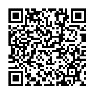 女帝军的将军这句话可以说是彻底的抹杀了他们最后的顾虑二维码生成