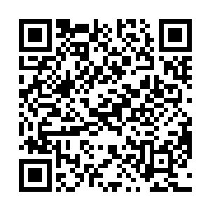 女性的尖叫和男人的呼喊怒骂声再一次充斥了这间餐厅二维码生成