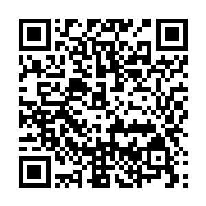 女护士检查过仪器上数字之后回过头来正好看到夏天那二维码生成