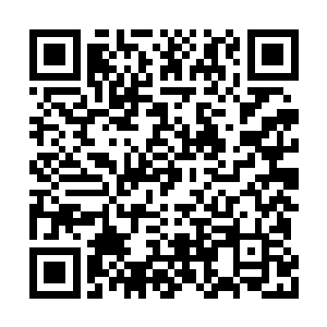 女特工抓了桌面的那支p99和集群电话就冲出去了二维码生成