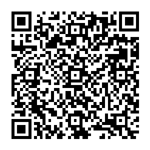 女王陛下　我们的调查正在进行　已经查出了袭击者的身份　他们均來自于自由平等协会　二维码生成