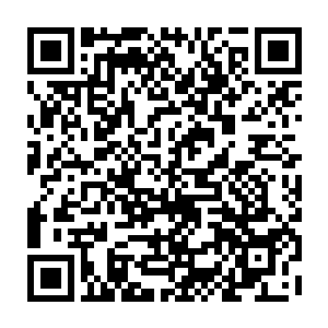 女王陛下被炸死　王爵被开枪打死　那既得利益者是谁　就是这两位大公二维码生成