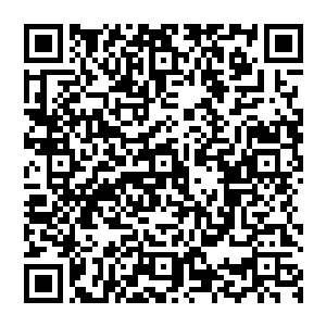 女王陛下通电全世界　她将会在狂欢节开幕当天　乘坐第一辆彩车　由中心公园　一直前往王宫二维码生成