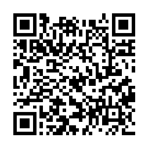 女舰长已经化作一道看不清楚五官面目的金色光团二维码生成