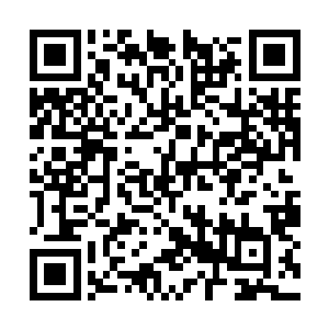 奴婢是奉老爷的话来请苏姑娘和季公子前去大厅的二维码生成