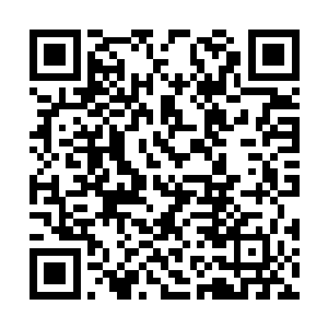 奴婢的确已经提前跟六小姐屋子里的人打过招呼了二维码生成