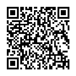 奴小时候邻家姐姐常对奴哥哥说又将你家的狗牵出来吓人了二维码生成