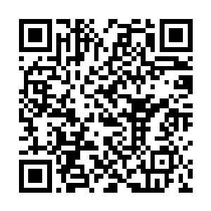奴才总觉得皇上突然之间就把章远给打发到罪奴司去了二维码生成