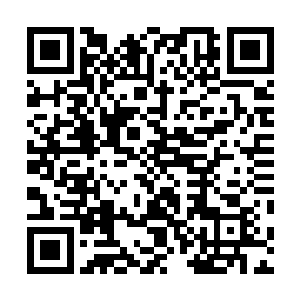 奶奶不止一次给我提过让我继承她衣钵跟随她学本领事情二维码生成