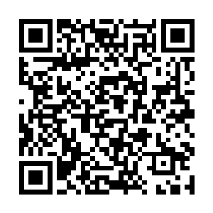 奶奶定然会让爸爸和鬼魅仆从去歼灭左司和左司父亲二维码生成