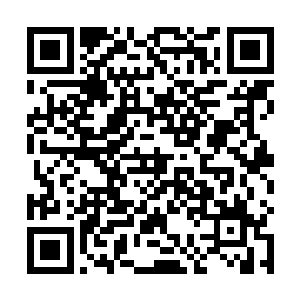 奶奶过来就说我们带了小野种趁家里没大人来家里鬼混二维码生成