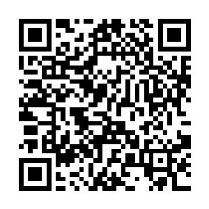 她一个人穿着薄薄的线衫和牛奶裤抱着双腿坐在那里二维码生成