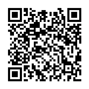 她一个女掌门能比那柏掌峰强出半截就很了不起了二维码生成