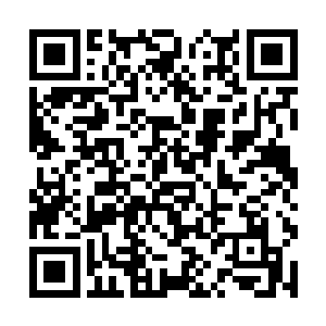 她一个小小酒吧的老板娘又岂敢把他真当员工来看待二维码生成