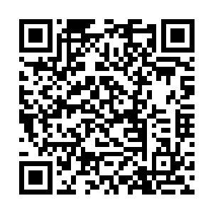 她一个未来的女官怎么能在一个侯府小姐的面前低头二维码生成