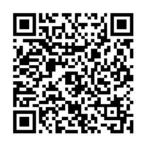 她一定会将下次包饺子时候剁肉馅的活计全丢给傻大姐二维码生成