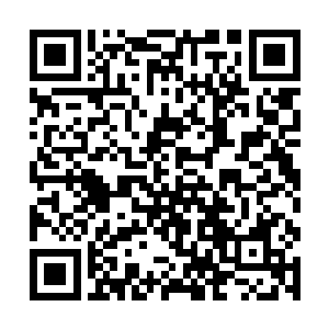 她一定是受了亚当斯家族和费尔南德斯家族的的指使二维码生成