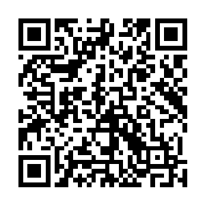 她一定要询问一下那几个老家伙关于仙人级别的进阶问题二维码生成