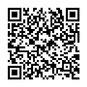 她一度以为龙战找不到或者不找伴侣独自生活下去二维码生成