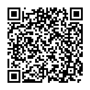 她一张精致的俏脸带着苍白之色望着已经消失的无影无踪的八大护道者二维码生成