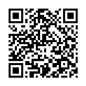 她一律用以树高来证评定为大树中树小树二维码生成