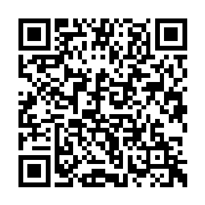 她一次次的见到沈凡做出超乎她常理之外的事情二维码生成