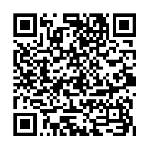 她一直以来的不回应态度亦算是有了很好的解释二维码生成