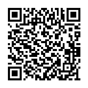 她一直在罗伯特跟前营造自己富有洞察力的形象二维码生成