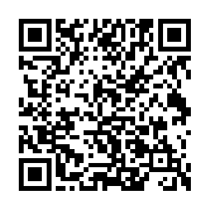 她一直想知道乌溪族到底都是一群什么样的凶徒二维码生成