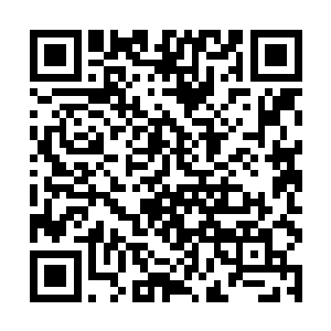 她一看见你就要上来拳打脚踢……我可是拼命阻拦的二维码生成