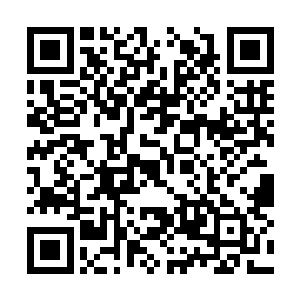 她一眼便看见他们家小姐蜜莉恩站在客厅和楼梯的二维码生成