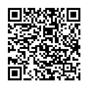 她一进门就去楼上洗掉了那一脸一脑袋的明星装扮二维码生成