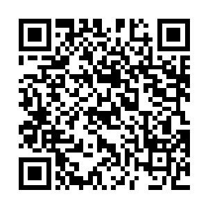 她一门心思想要把祖地建设成可以生活十万人的大城市二维码生成