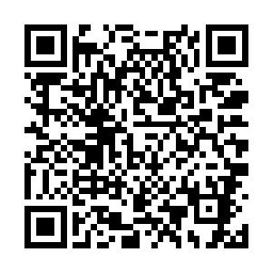 她万万没有想到在这里会遇到自己的六师姐张无界二维码生成