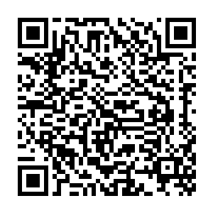 她万万没有想到对面那个有一张漂亮面孔的少年居然会真下此狠手二维码生成