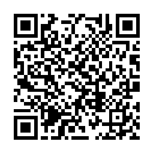 她下意识的便是利用自己锋利的银针针线作为防守二维码生成