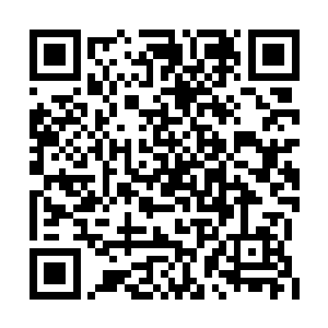 她不会这么快就拿到第二个奥斯卡最佳女主角吧二维码生成