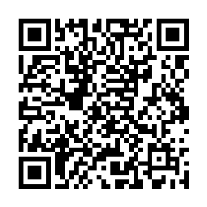 她不可能来得及以念力抓石头砸石梁发现那条缝隙二维码生成