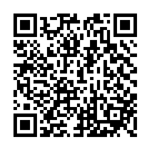 她不得不承认凤君曜的确令万千少女尖叫的资本二维码生成