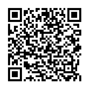 她不想看到苏墨尘的脸上也染上这样悲伤的表情二维码生成