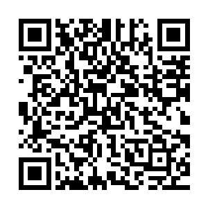 她不想让南方修士现在就知道太虚宗修士的修为得到了突飞猛进二维码生成