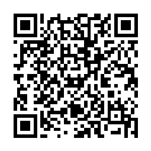 她不敢想象如果有一天龙野想要别的伴侣自己会怎么样二维码生成