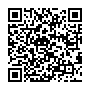 她不止一次在说话间对于自家孩子的团结而骄傲自豪二维码生成