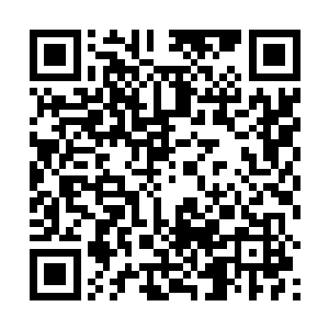 她不清楚为什么这次台长非要让她来这边录制这档节目二维码生成